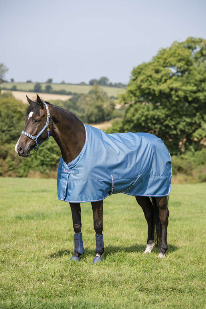 bucas Outdoordecke Freedom Turnout 50 g Blueberry